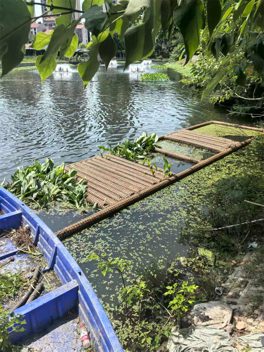 前川西河黑臭水体治理