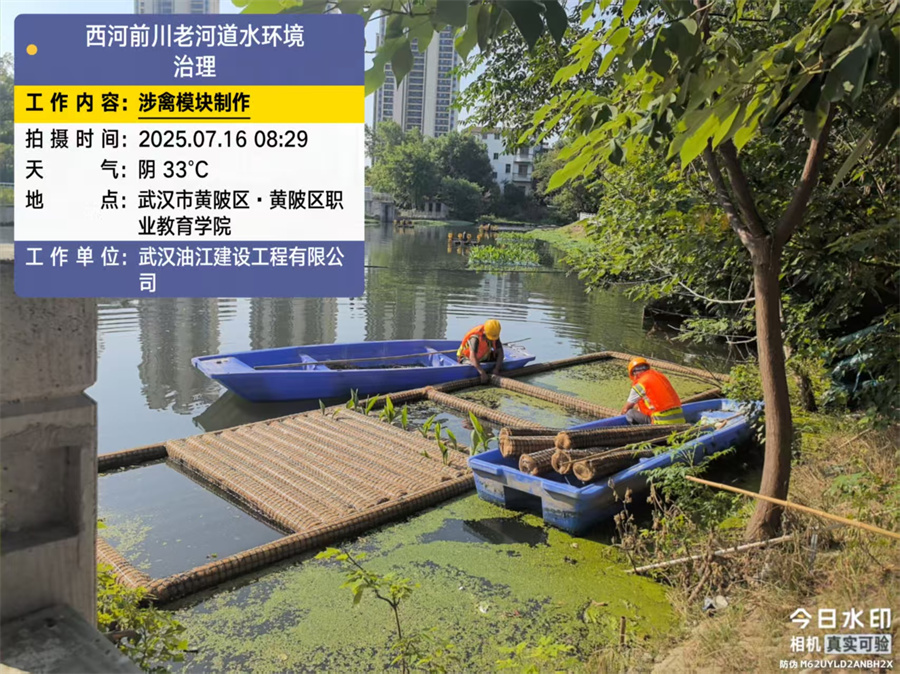 前川西河黑臭水体治理