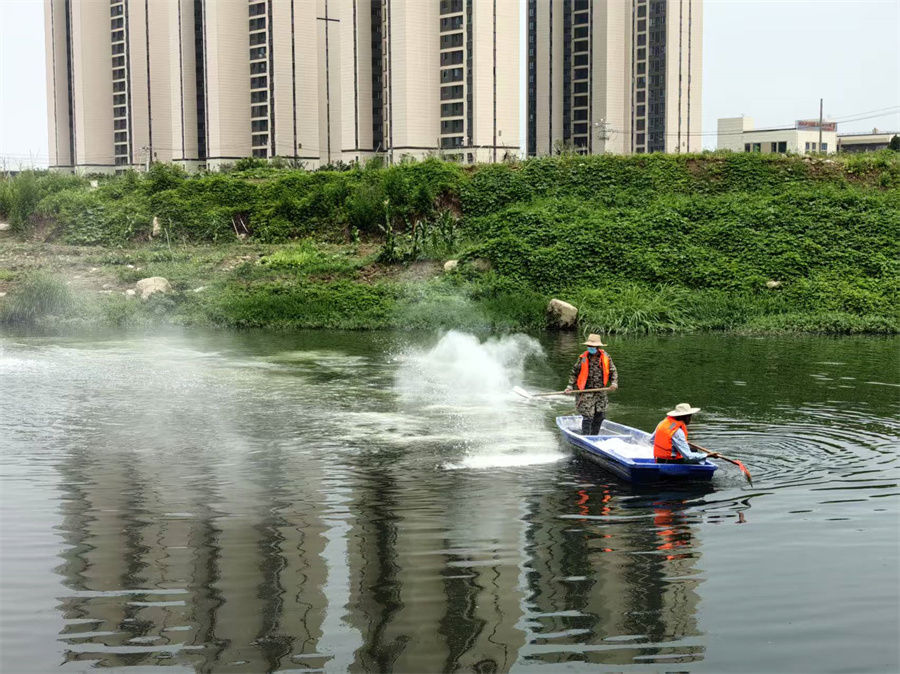 前川西河黑臭水体治理7