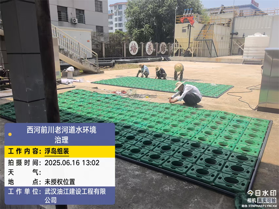 前川西河黑臭水体治理