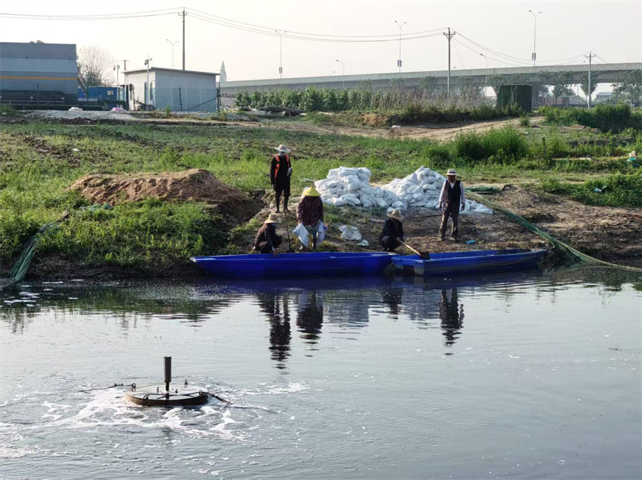 前川西河黑臭水体治理2